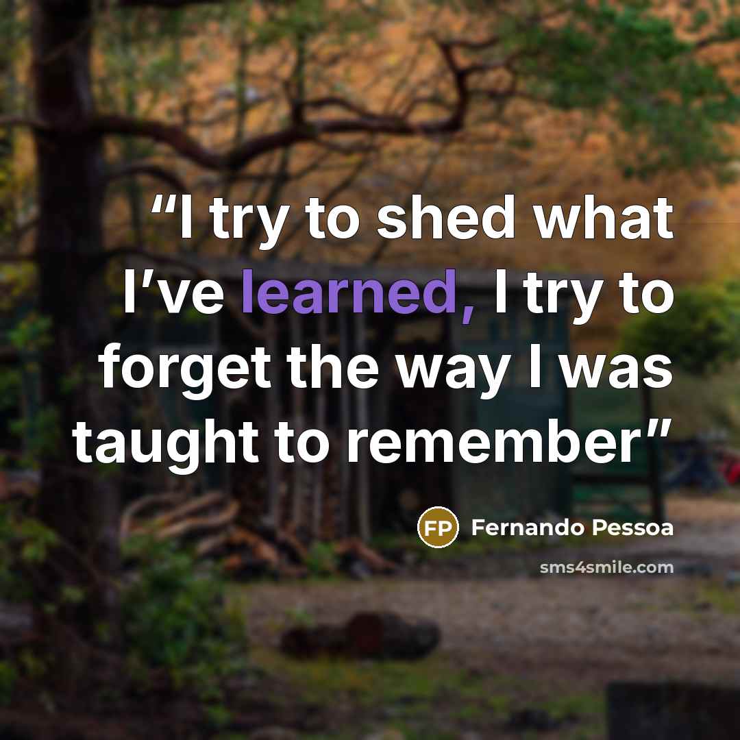 “I try to shed what I’ve learned, I try to forget the way I was taught to remember” quote by Fernando Pessoa