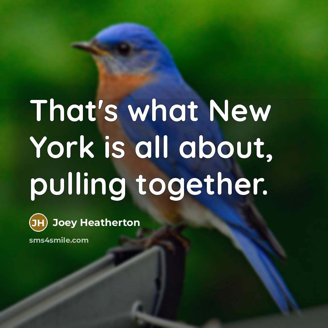 “That's what New York is all about, pulling together.” quote by Joey Heatherton