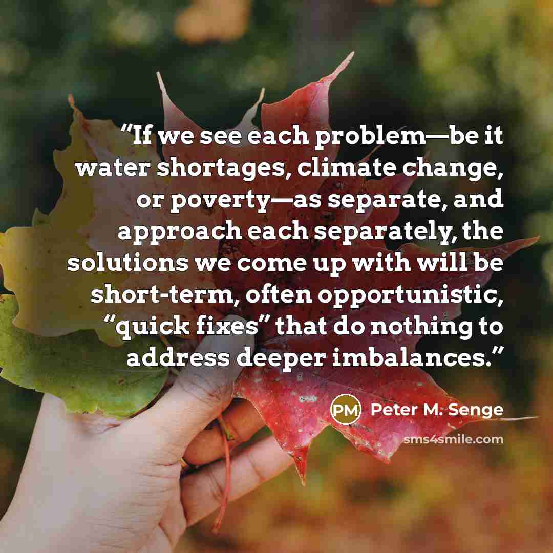 “If we see each problem—be it water shortages, climate change, or poverty—as separate, and approach each separately, the solutions we come up with will be short-term, often opportunistic, “quick fixes” that do nothing to address deeper imbalances.” quote by Peter M. Senge
