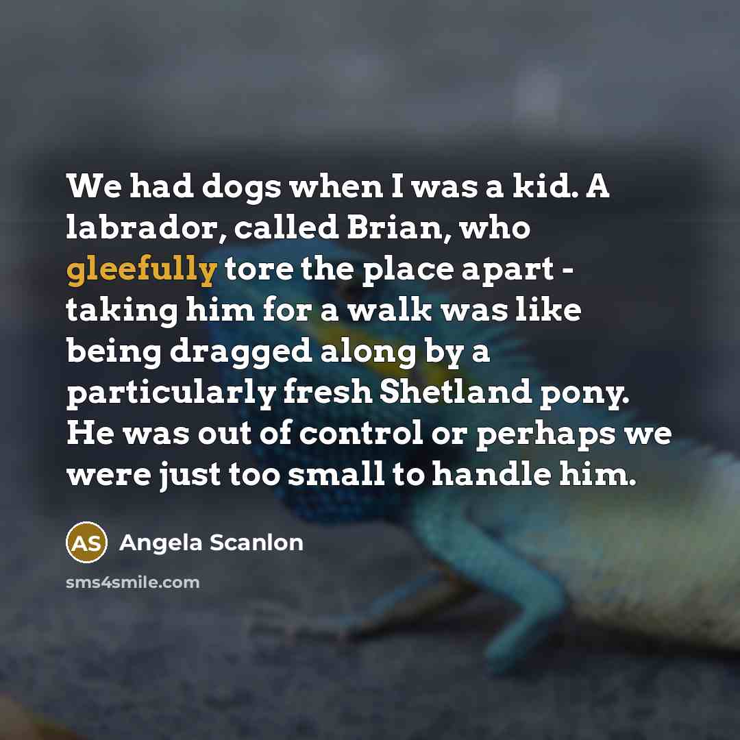 “We had dogs when I was a kid. A labrador, called Brian, who gleefully tore the place apart - taking him for a walk was like being dragged along by a particularly fresh Shetland pony. He was out of control or perhaps we were just too small to handle him.” quote by Angela Scanlon