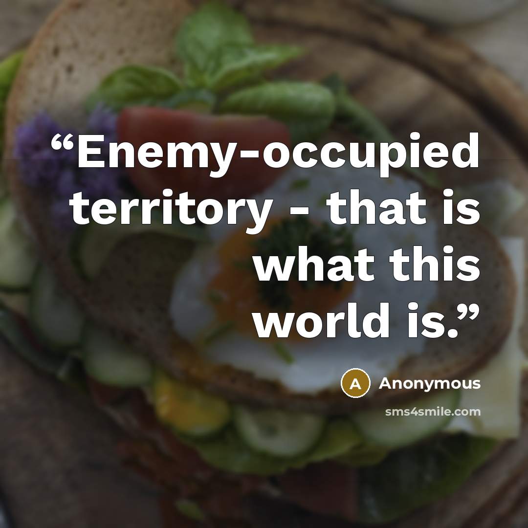 “Enemy-occupied territory - that is what this world is.” quote by Anonymous