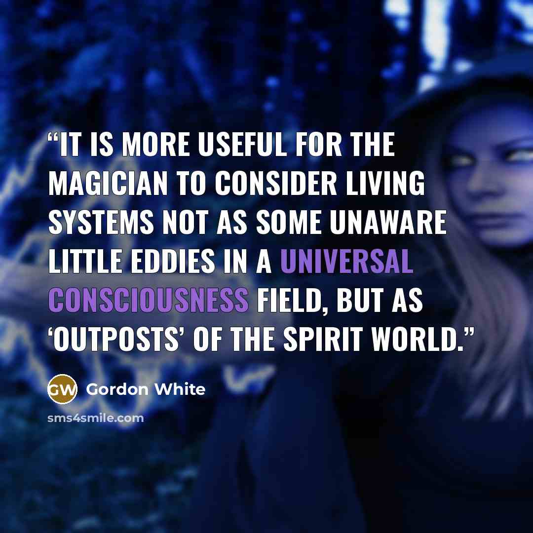 “It is more useful for the magician to consider living systems not as some unaware little eddies in a universal consciousness field, but as ‘outposts’ of the spirit world.” quote by Gordon White
