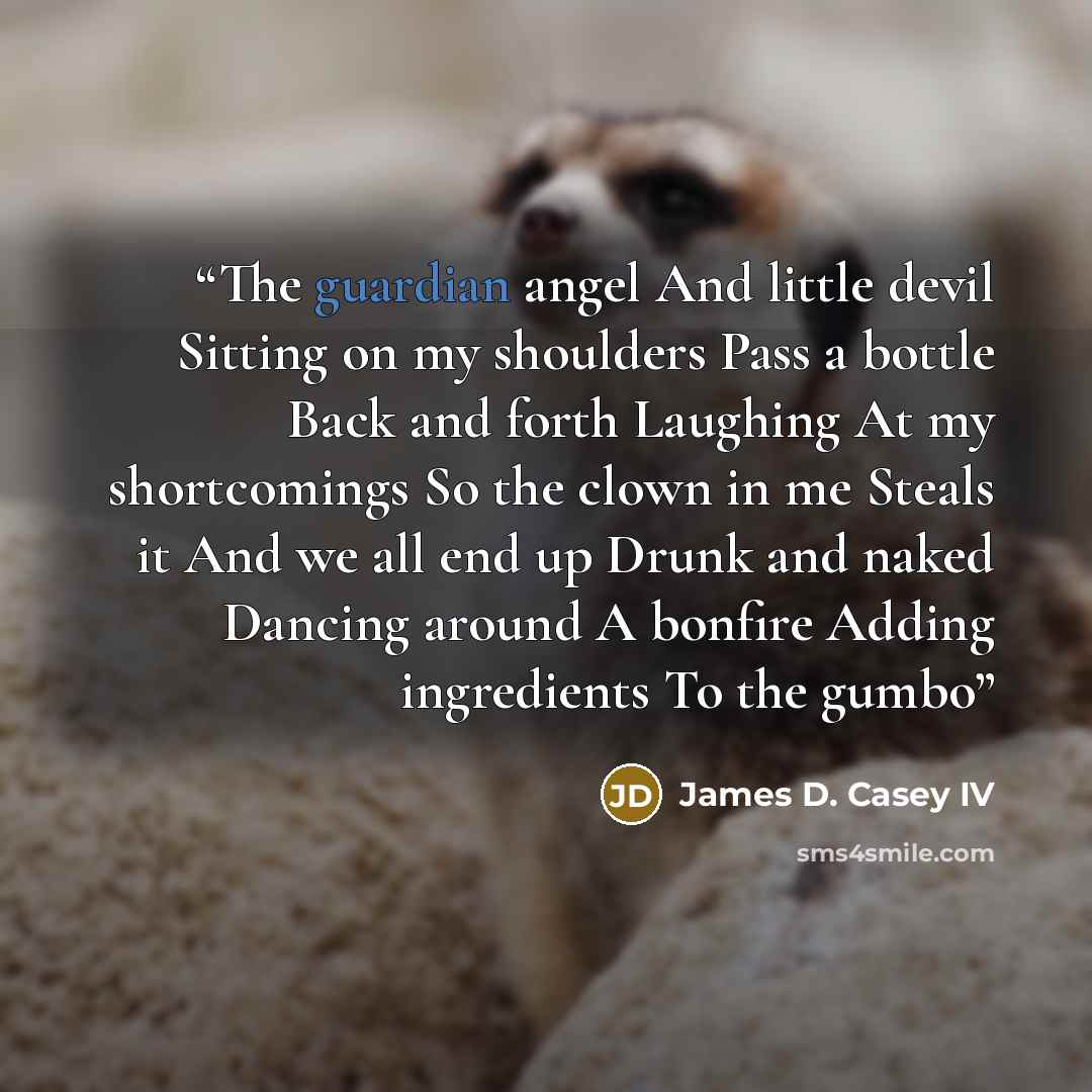 “The guardian angel And little devil Sitting on my shoulders Pass a bottle Back and forth Laughing At my shortcomings So the clown in me Steals it And we all end up Drunk and naked Dancing around A bonfire Adding ingredients To the gumbo” quote by James D. Casey IV