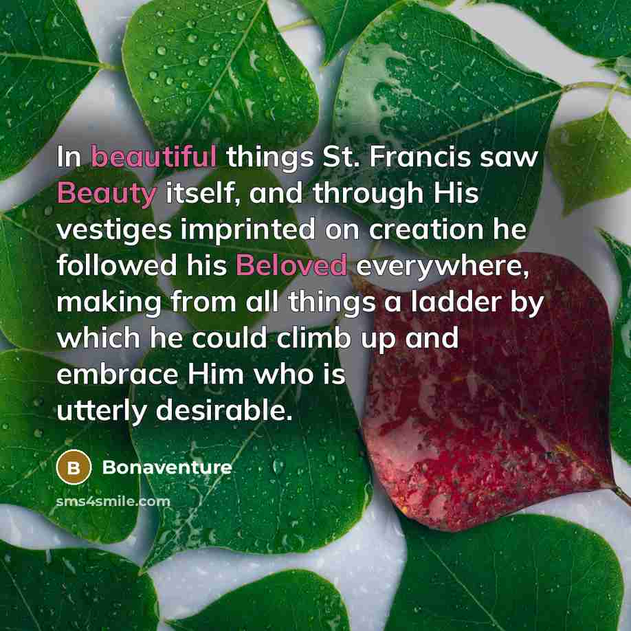 “In beautiful things St. Francis saw Beauty itself, and through His vestiges imprinted on creation he followed his Beloved everywhere, making from all things a ladder by which he could climb up and embrace Him who is utterly desirable.” quote by Bonaventure