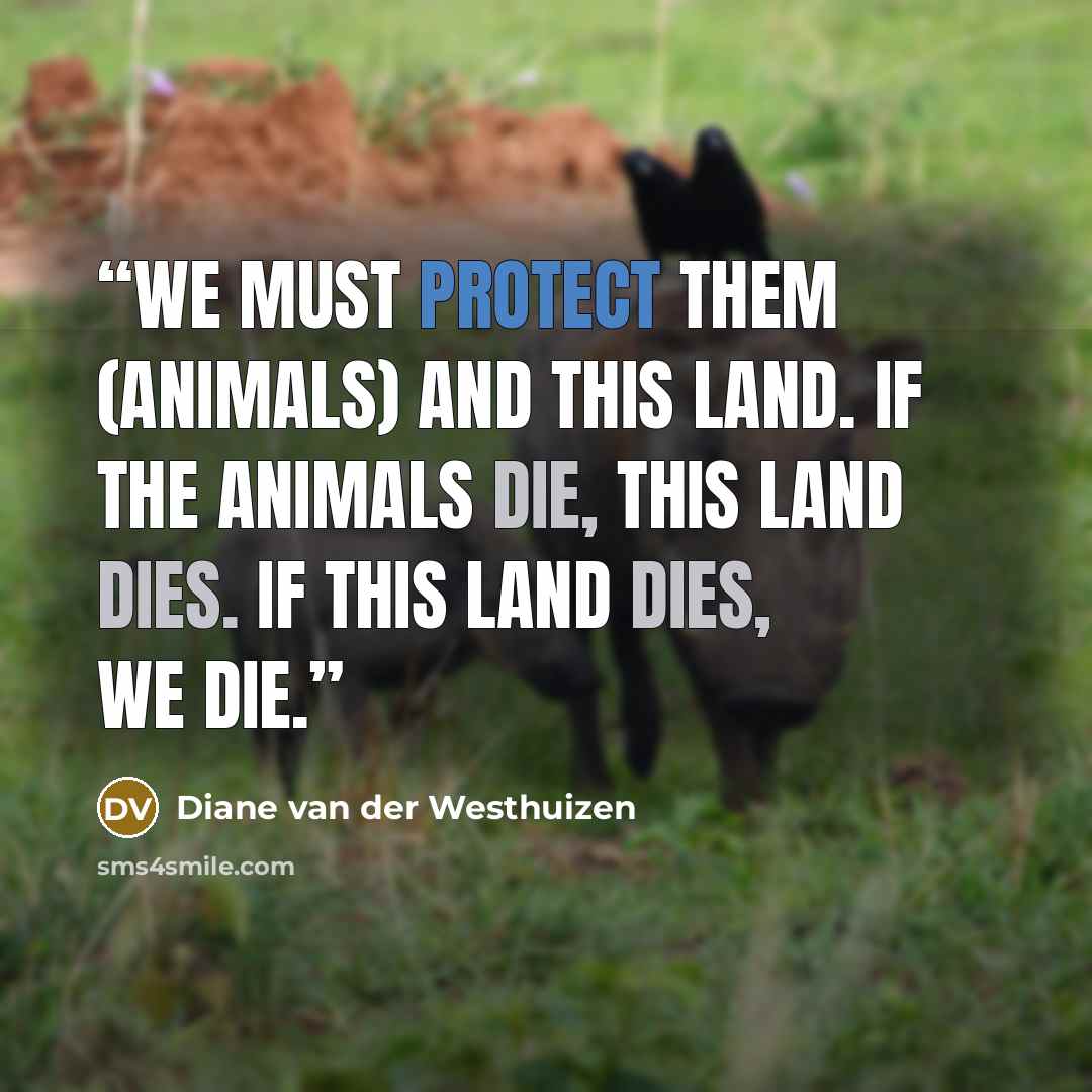 “We must protect them (animals) and this land. If the animals die, this land dies. If this land dies, we die.” quote by Diane van der Westhuizen