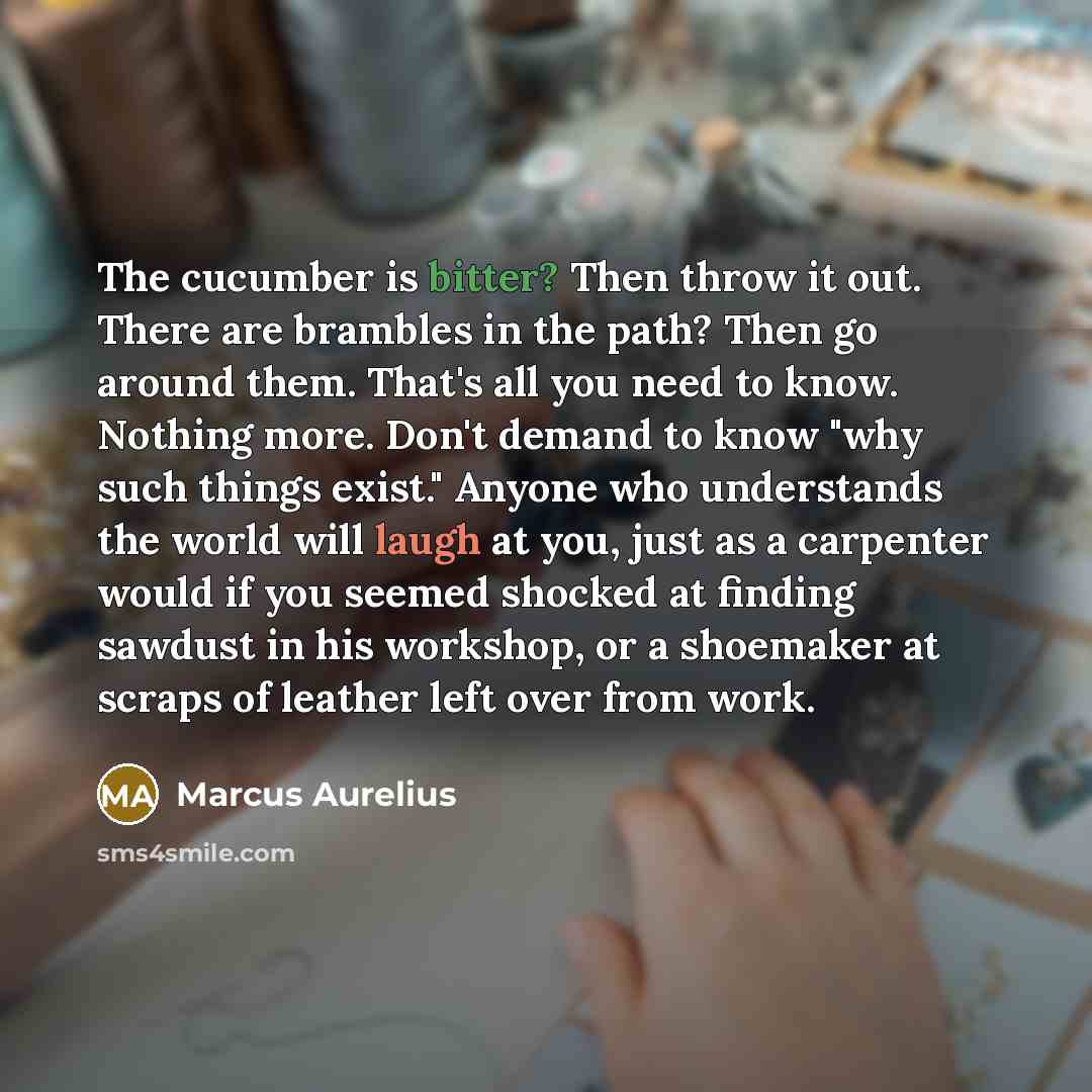 “The cucumber is bitter? Then throw it out. There are brambles in the path? Then go around them. That's all you need to know. Nothing more. Don't demand to know "why such things exist." Anyone who understands the world will laugh at you, just as a carpenter would if you seemed shocked at finding…” quote by Marcus Aurelius