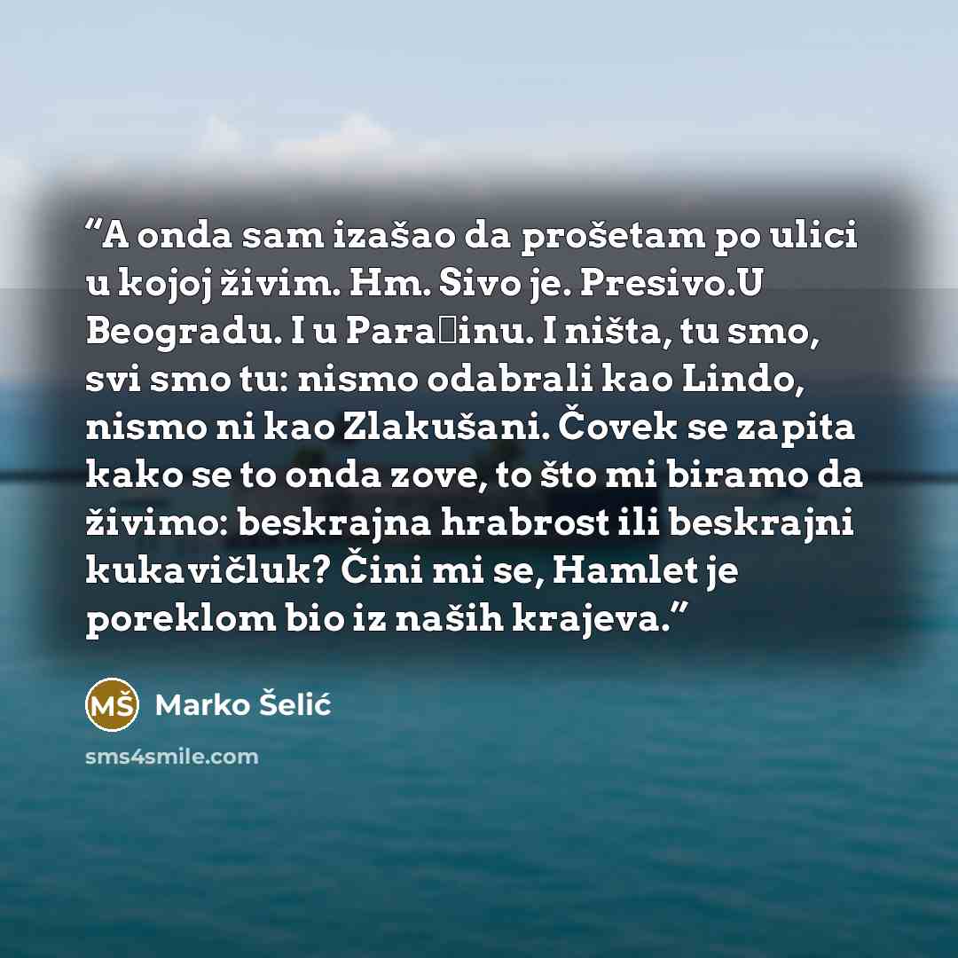 “A onda sam izašao da prošetam po ulici u kojoj živim. Hm. Sivo je. Presivo.U Beogradu. I u Paraćinu. I ništa, tu smo, svi smo tu: nismo odabrali kao Lindo, nismo ni kao Zlakušani. Čovek se zapita kako se to onda zove, to što mi biramo da živimo: beskrajna hrabrost ili beskrajni kukavičluk? Čini mi…” quote by Marko Šelić