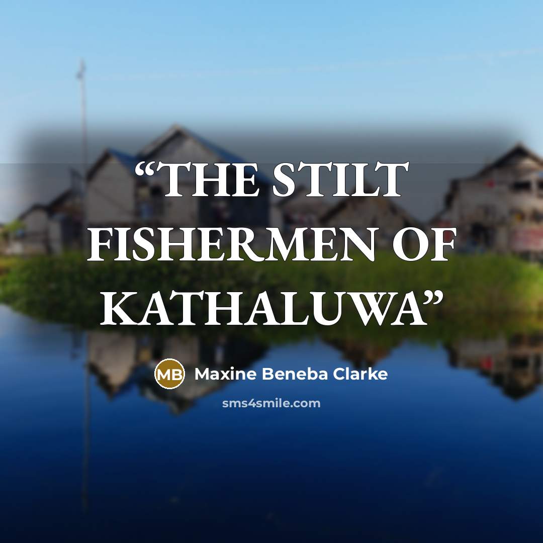 “THE STILT FISHERMEN OF KATHALUWA” quote by Maxine Beneba Clarke