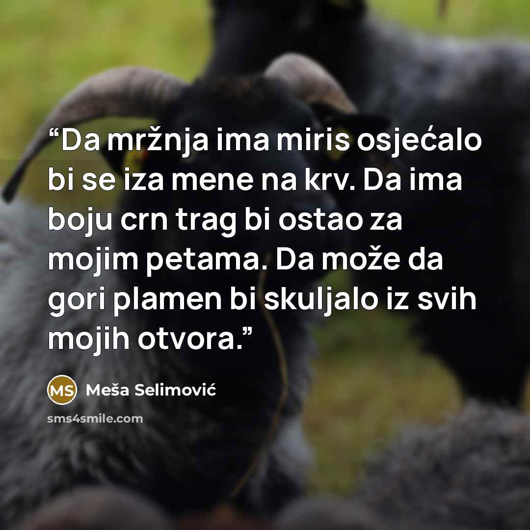 “Da mržnja ima miris osjećalo bi se iza mene na krv. Da ima boju crn trag bi ostao za mojim petama. Da može da gori plamen bi skuljalo iz svih mojih otvora.” quote by Meša Selimović