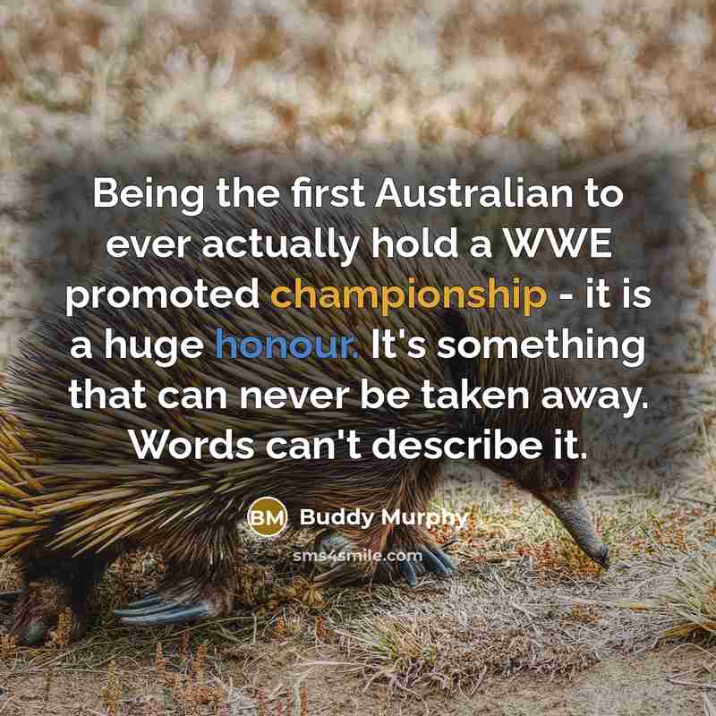 “Being the first Australian to ever actually hold a WWE promoted championship - it is a huge honour. It's something that can never be taken away. Words can't describe it.” quote by Buddy Murphy