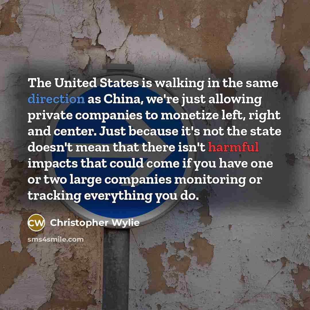 “The United States is walking in the same direction as China, we're just allowing private companies to monetize left, right and center. Just because it's not the state doesn't mean that there isn't harmful impacts that could come if you have one or two large companies monitoring or tracking…” quote by Christopher Wylie