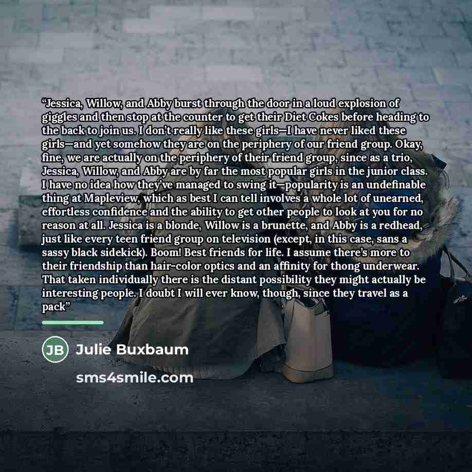 “Jessica, Willow, and Abby burst through the door in a loud explosion of giggles and then stop at the counter to get their Diet Cokes before heading to the back to join us. I don’t really like these girls—I have never liked these girls—and yet somehow they are on the periphery of our friend group…” quote by Julie Buxbaum