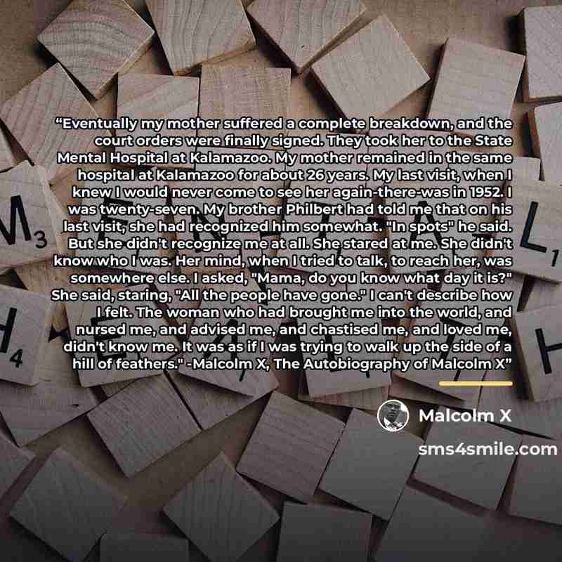 “Eventually my mother suffered a complete breakdown, and the court orders were finally signed. They took her to the State Mental Hospital at Kalamazoo. My mother remained in the same hospital at Kalamazoo for about 26 years. My last visit, when I knew I would never come to see her again-there-was…” quote by Malcolm X