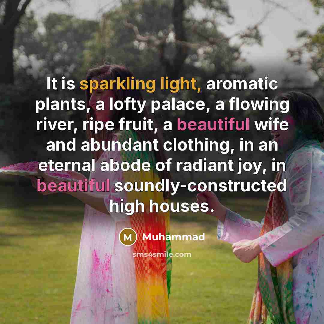 “It is sparkling light, aromatic plants, a lofty palace, a flowing river, ripe fruit, a beautiful wife and abundant clothing, in an eternal abode of radiant joy, in beautiful soundly-constructed high houses.” quote by Muhammad