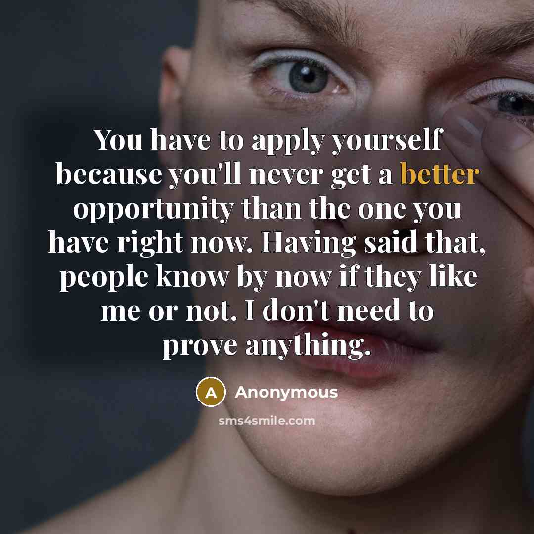 “You have to apply yourself because you'll never get a better opportunity than the one you have right now. Having said that, people know by now if they like me or not. I don't need to prove anything.” quote by Anonymous