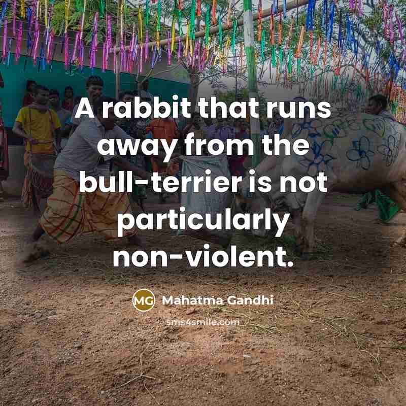 “A rabbit that runs away from the bull-terrier is not particularly non-violent.” quote by Mahatma Gandhi