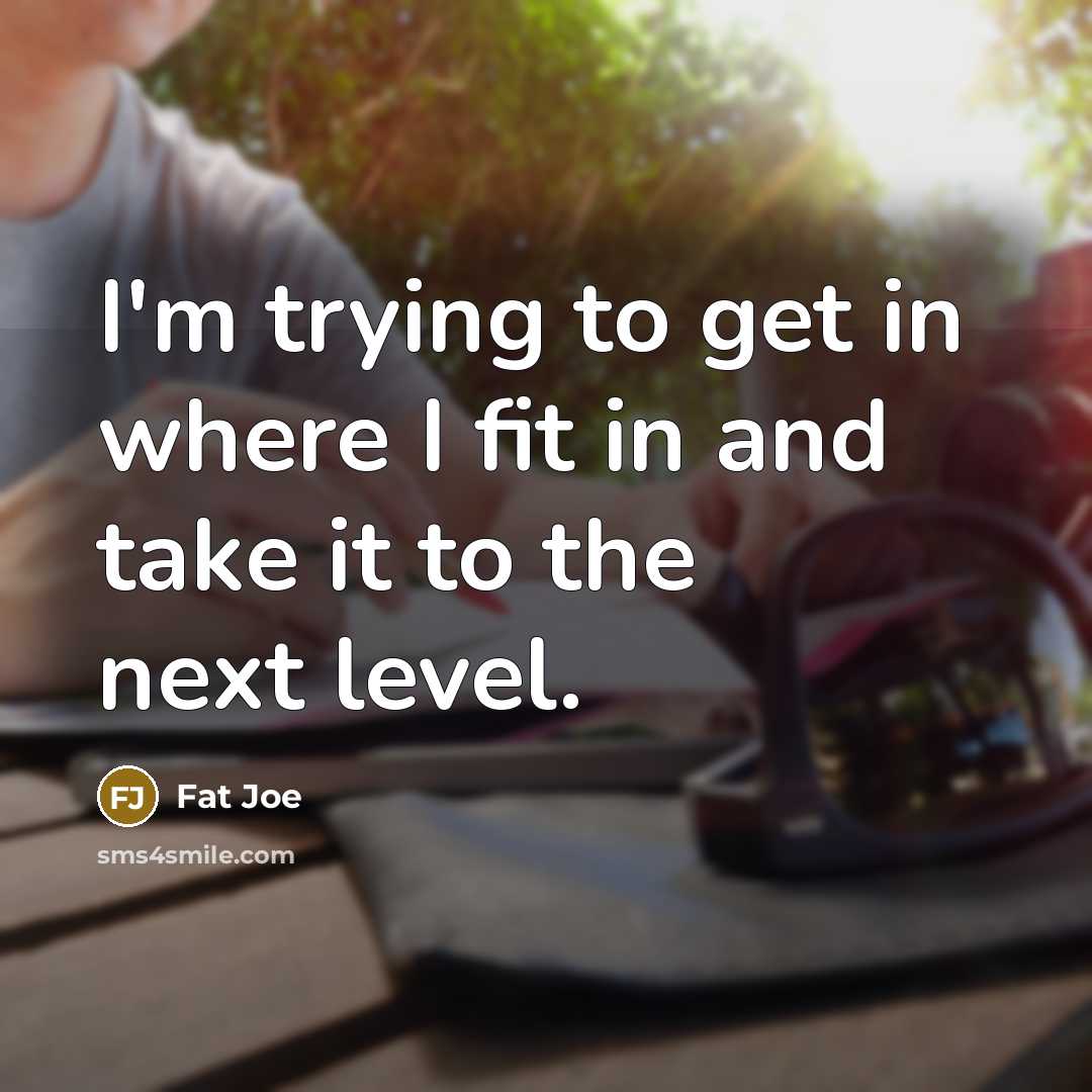 “I'm trying to get in where I fit in and take it to the next level.” quote by Fat Joe