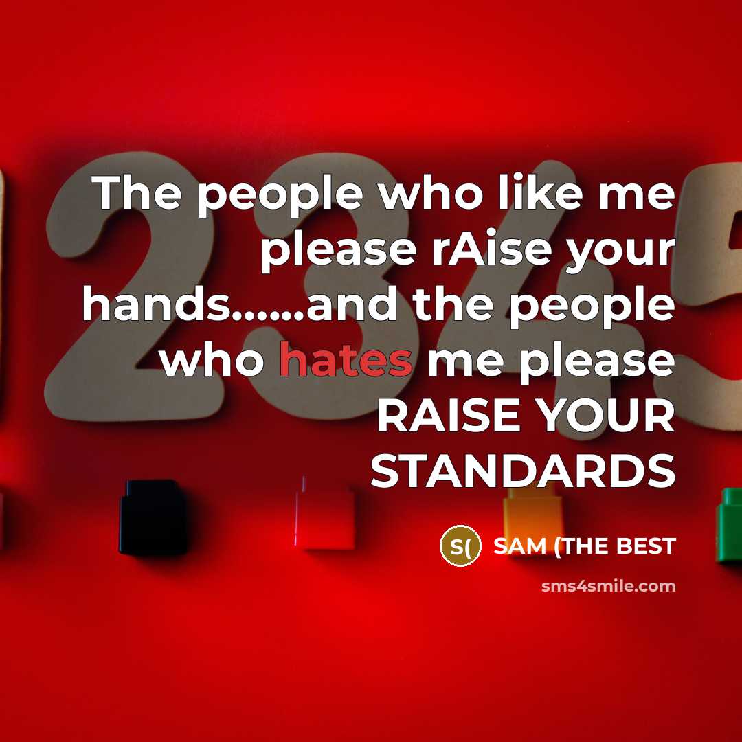 “The people who like me please rAise your hands…...and the people who hates me please RAISE YOUR STANDARDS” quote by SAM (THE BEST