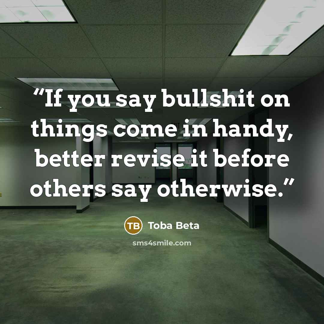 “If you say bullshit on things come in handy, better revise it before others say otherwise.” quote by Toba Beta