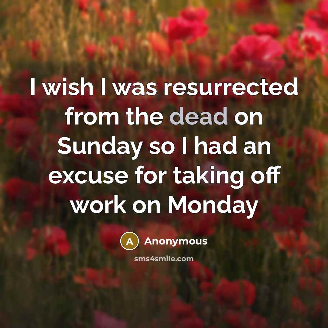 “I wish I was resurrected from the dead on Sunday so I had an excuse for taking off work on Monday” quote by Anonymous