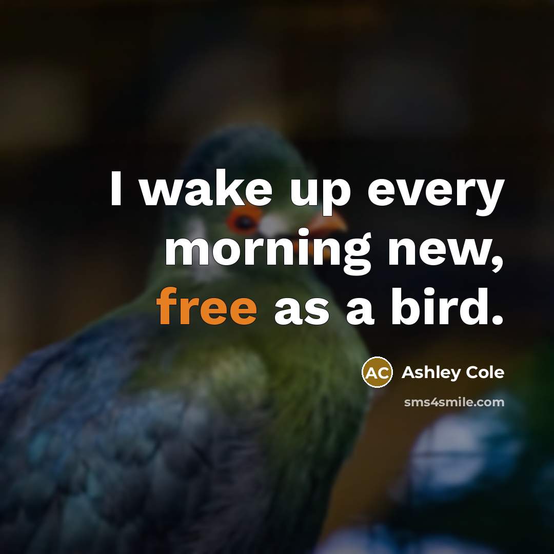 “I wake up every morning new, free as a bird.” quote by Ashley Cole