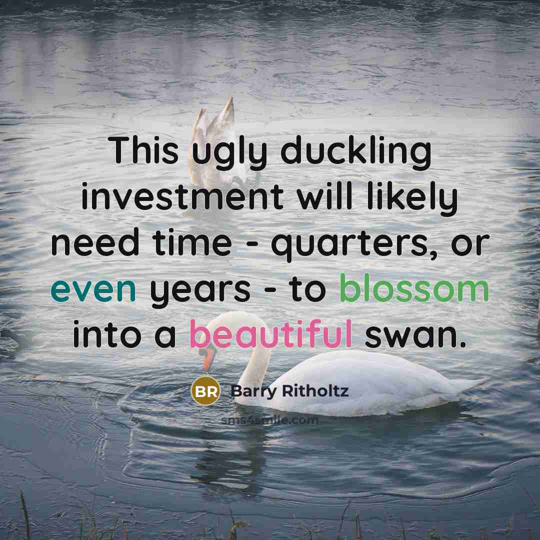 “This ugly duckling investment will likely need time - quarters, or even years - to blossom into a beautiful swan.” quote by Barry Ritholtz