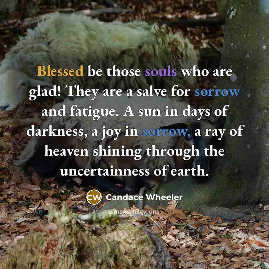 “Blessed be those souls who are glad! They are a salve for sorrow and fatigue. A sun in days of darkness, a joy in sorrow, a ray of heaven shining through the uncertainness of earth.” quote by Candace Wheeler