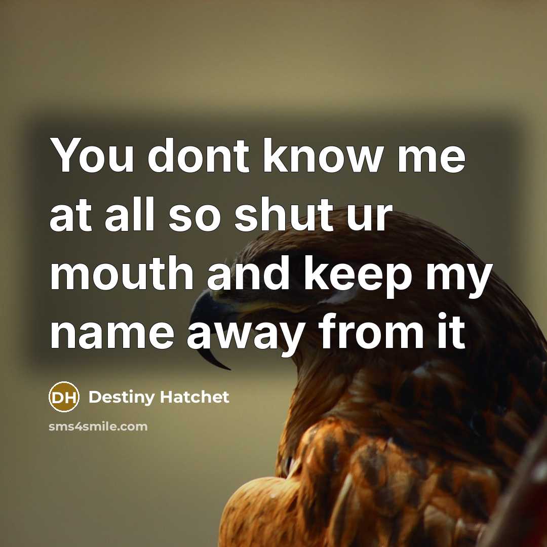“You dont know me at all so shut ur mouth and keep my name away from it” quote by Destiny Hatchet