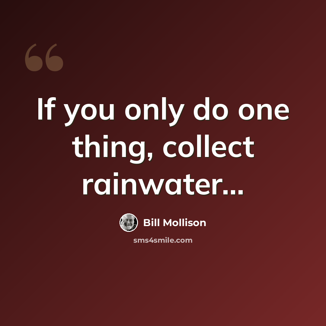 “If you only do one thing, collect rainwater...” quote by Bill Mollison