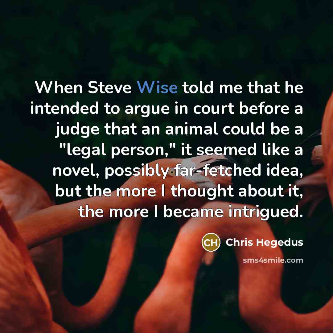 “When Steve Wise told me that he intended to argue in court before a judge that an animal could be a "legal person," it seemed like a novel, possibly far-fetched idea, but the more I thought about it, the more I became intrigued.” quote by Chris Hegedus