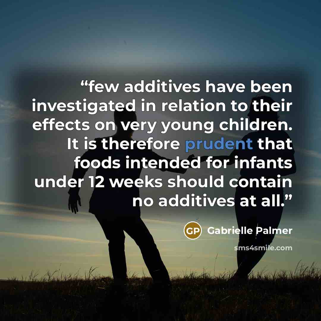 “few additives have been investigated in relation to their effects on very young children. It is therefore prudent that foods intended for infants under 12 weeks should contain no additives at all.” quote by Gabrielle Palmer