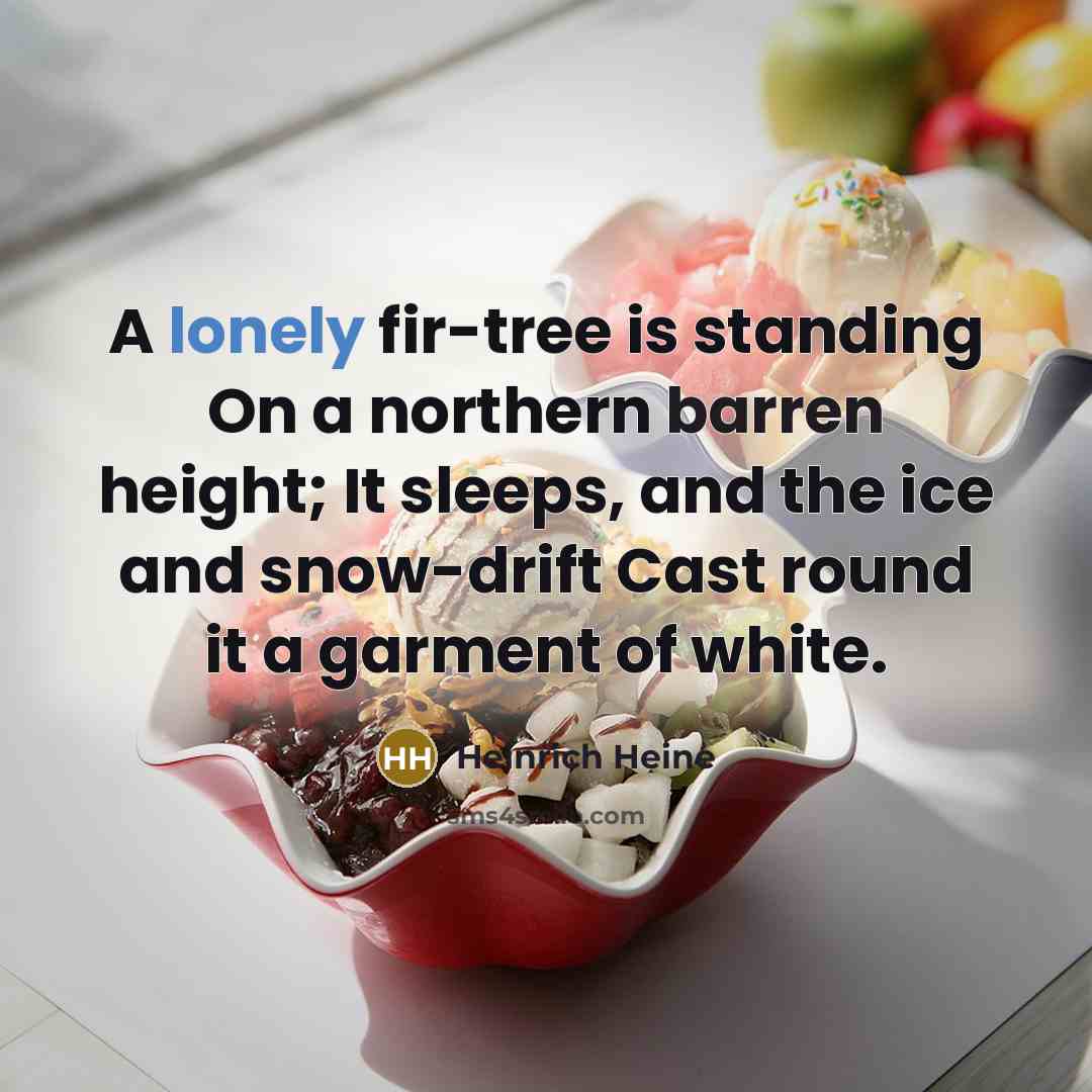 “A lonely fir-tree is standing On a northern barren height; It sleeps, and the ice and snow-drift Cast round it a garment of white.” quote by Heinrich Heine