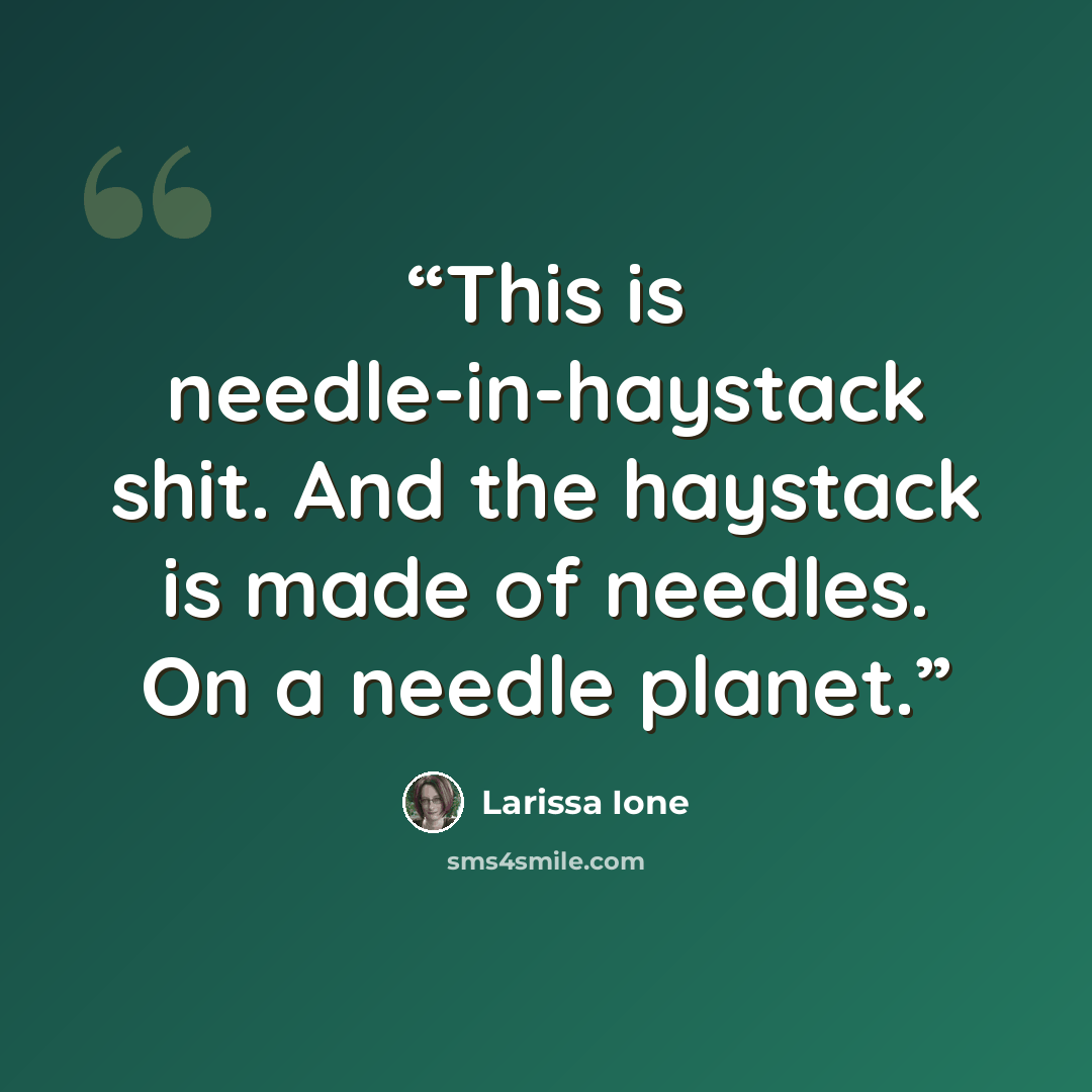 “This is needle-in-haystack shit. And the haystack is made of needles. On a needle planet.” quote by Larissa Ione