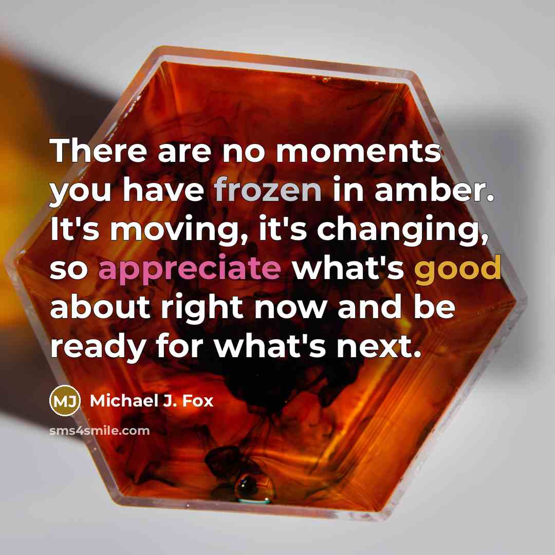 “There are no moments you have frozen in amber. It's moving, it's changing, so appreciate what's good about right now and be ready for what's next.” quote by Michael J. Fox