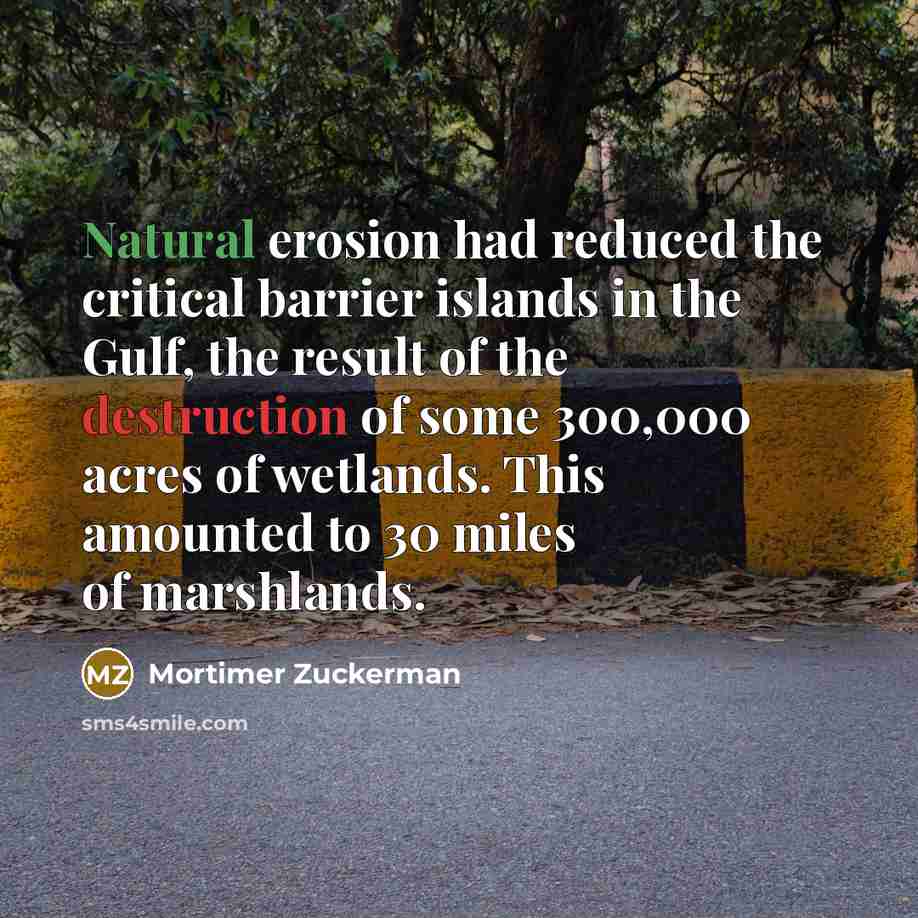 “Natural erosion had reduced the critical barrier islands in the Gulf, the result of the destruction of some 300,000 acres of wetlands. This amounted to 30 miles of marshlands.” quote by Mortimer Zuckerman