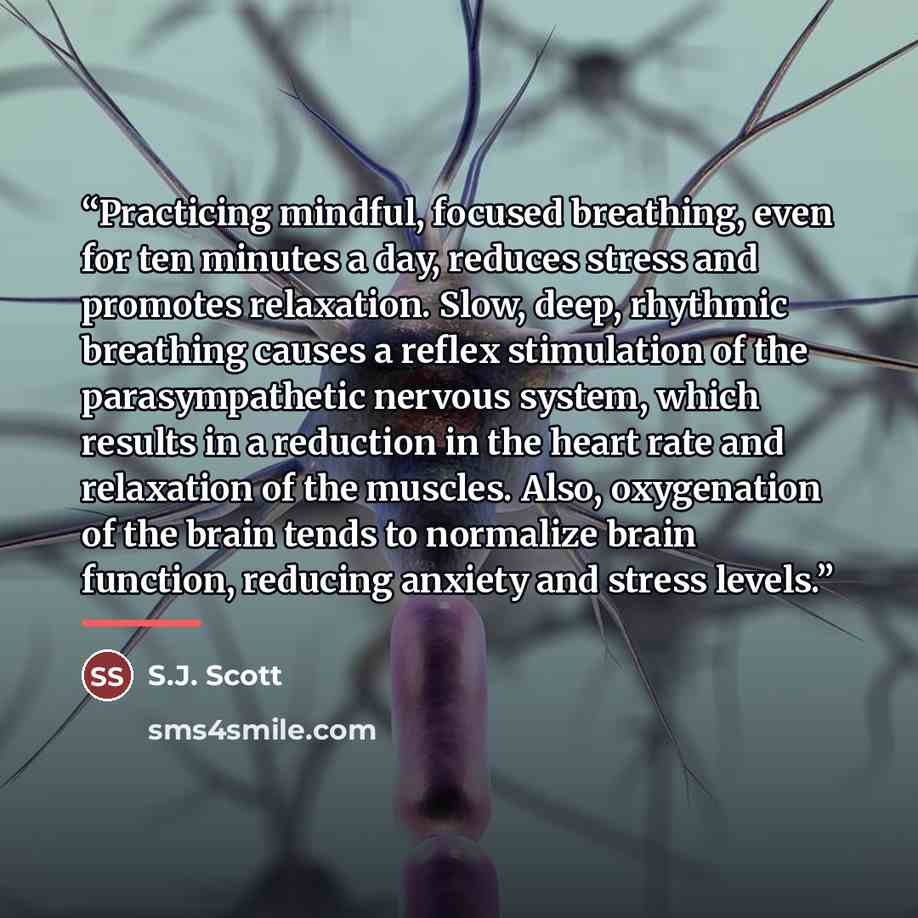 “Practicing mindful, focused breathing, even for ten minutes a day, reduces stress and promotes relaxation. Slow, deep, rhythmic breathing causes a reflex stimulation of the parasympathetic nervous system, which results in a reduction in the heart rate and relaxation of the muscles. Also…” quote by S.J. Scott
