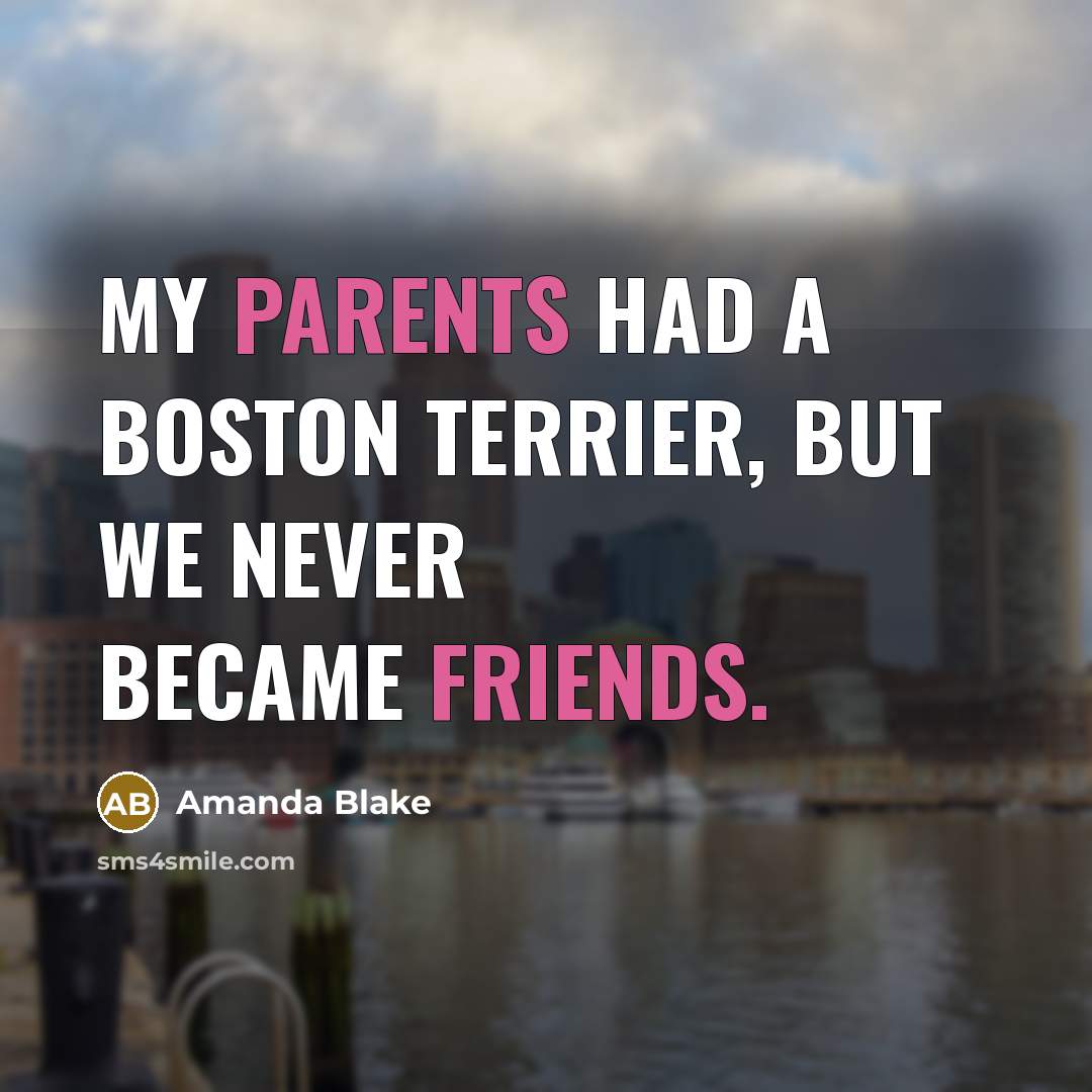 “My parents had a Boston terrier, but we never became friends.” quote by Amanda Blake