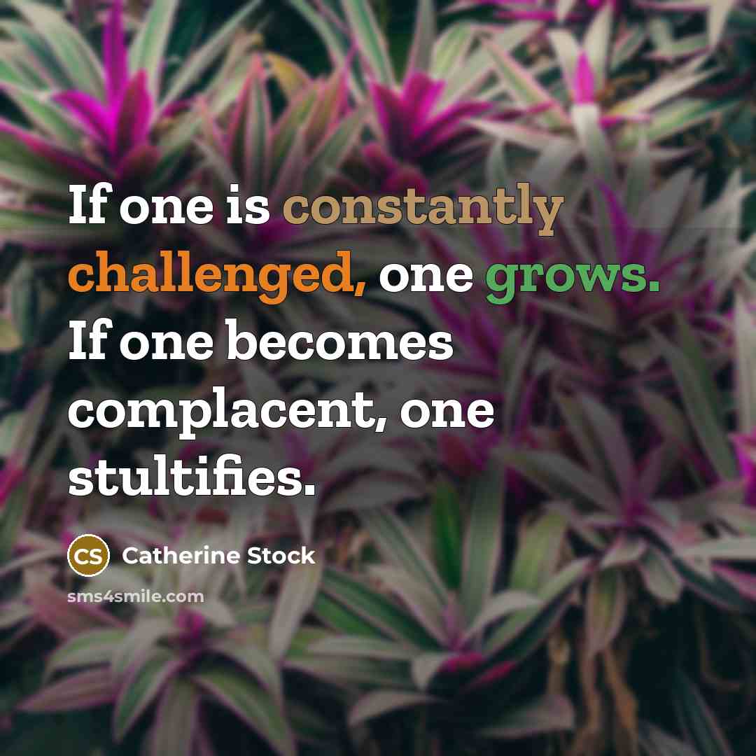 “If one is constantly challenged, one grows. If one becomes complacent, one stultifies.” quote by Catherine Stock