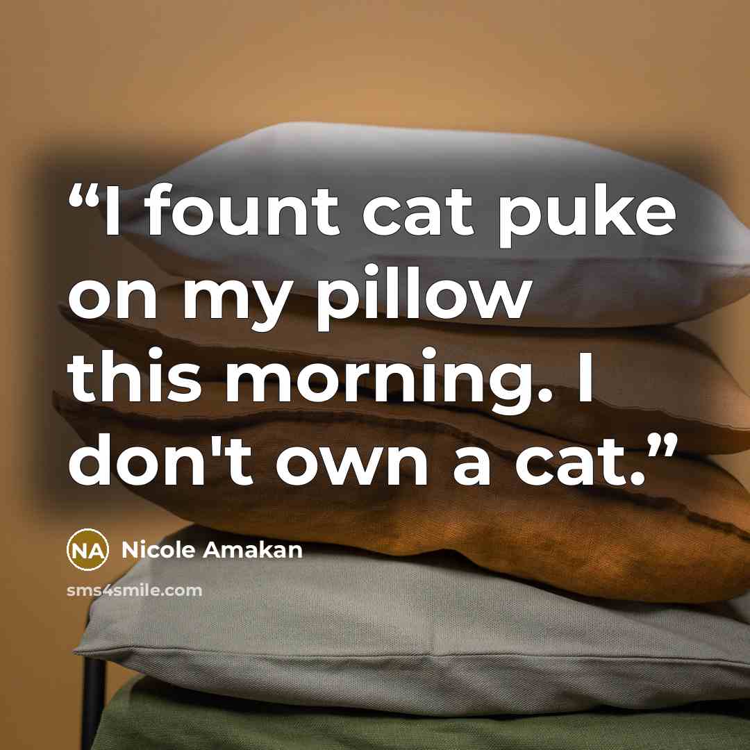“I fount cat puke on my pillow this morning. I don't own a cat.” quote by Nicole Amakan