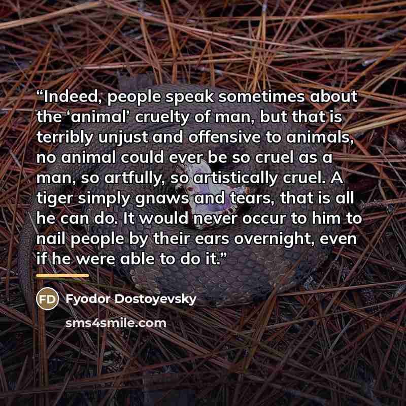 “Indeed, people speak sometimes about the ‘animal’ cruelty of man, but that is terribly unjust and offensive to animals, no animal could ever be so cruel as a man, so artfully, so artistically cruel. A tiger simply gnaws and tears, that is all he can do. It would never occur to him to nail people…” quote by Fyodor Dostoyevsky