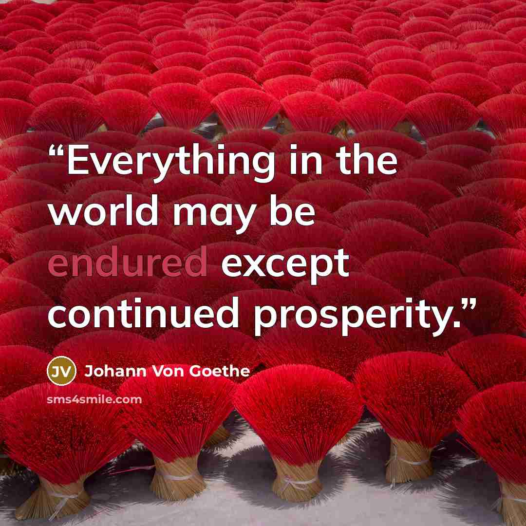 “Everything in the world may be endured except continued prosperity.” quote by Johann von Goethe