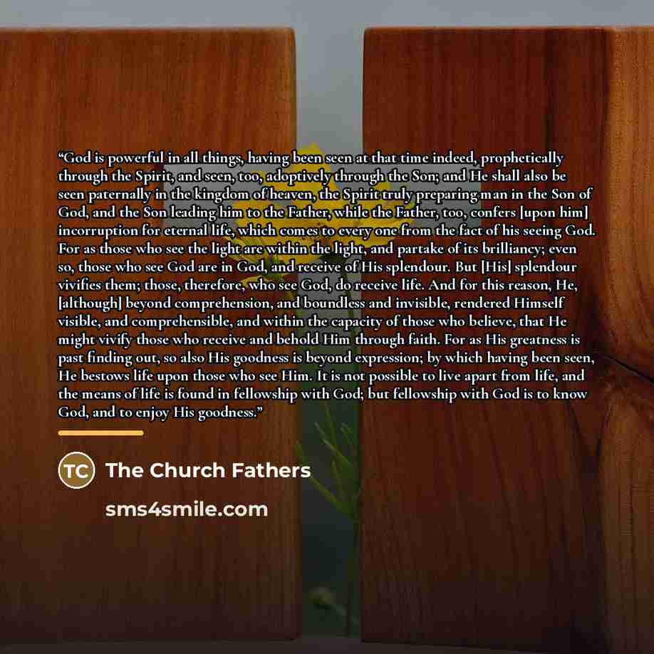 “God is powerful in all things, having been seen at that time indeed, prophetically through the Spirit, and seen, too, adoptively through the Son; and He shall also be seen paternally in the kingdom of heaven, the Spirit truly preparing man in the Son of God, and the Son leading him to the Father…” quote by The Church Fathers
