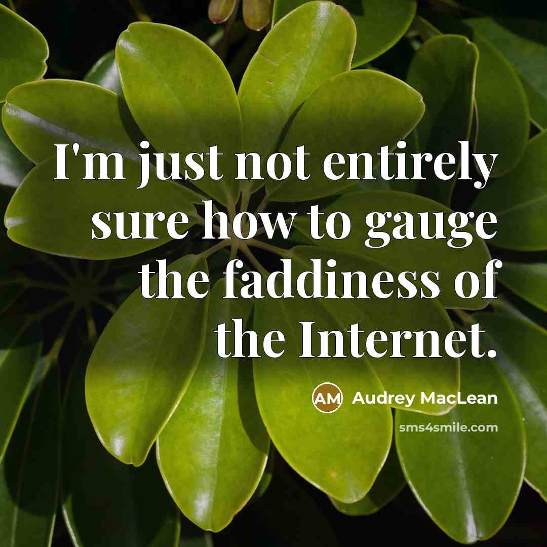 “I'm just not entirely sure how to gauge the faddiness of the Internet.” quote by Audrey MacLean