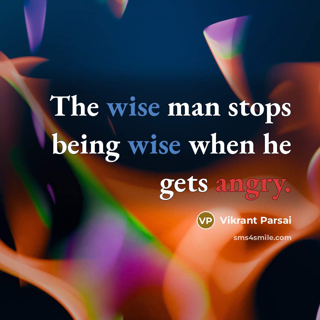 “The wise man stops being wise when he gets angry.” quote by Vikrant Parsai