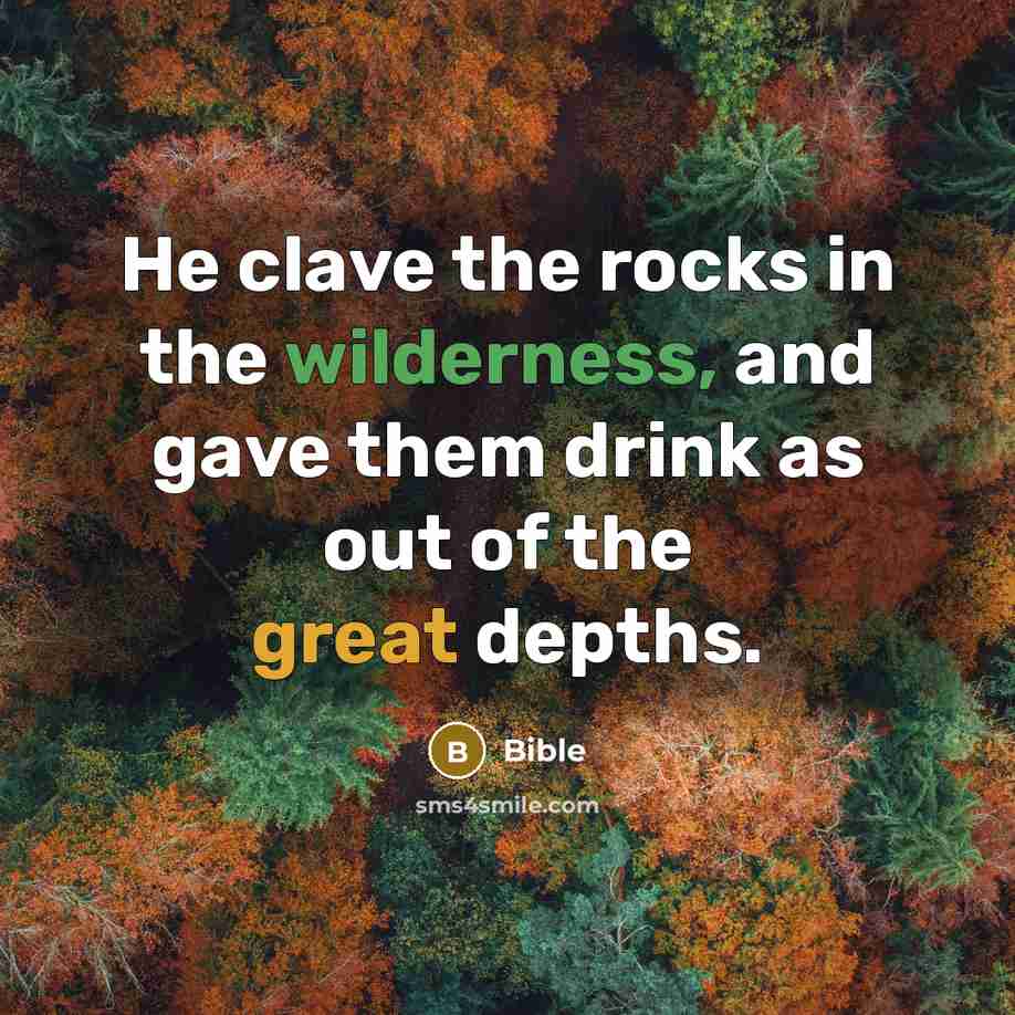 “He clave the rocks in the wilderness, and gave them drink as out of the great depths.” quote by Bible