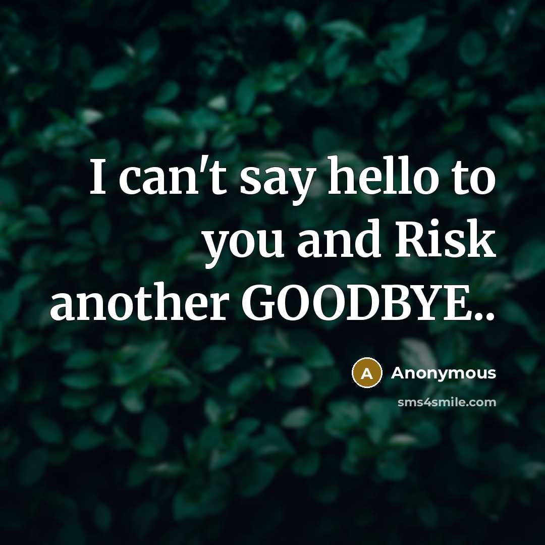 “I can't say hello to you and Risk another GOODBYE..” quote by Anonymous