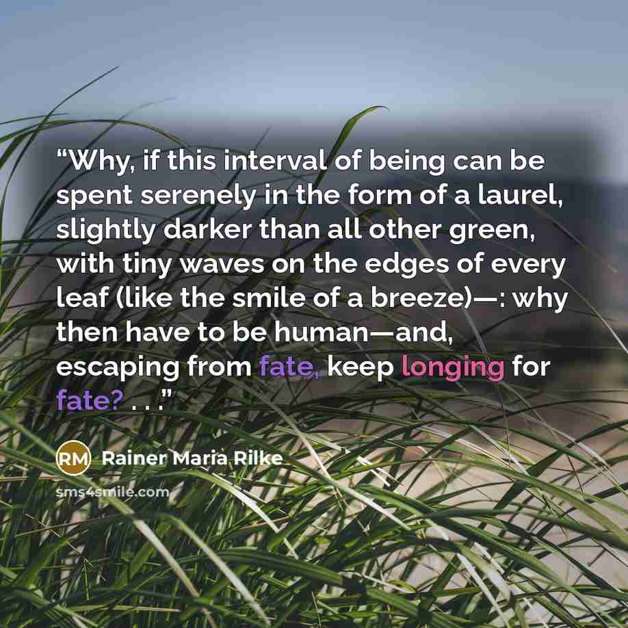 “Why, if this interval of being can be spent serenely in the form of a laurel, slightly darker than all other green, with tiny waves on the edges of every leaf (like the smile of a breeze)—: why then have to be human—and, escaping from fate, keep longing for fate? . . .” quote by Rainer Maria Rilke