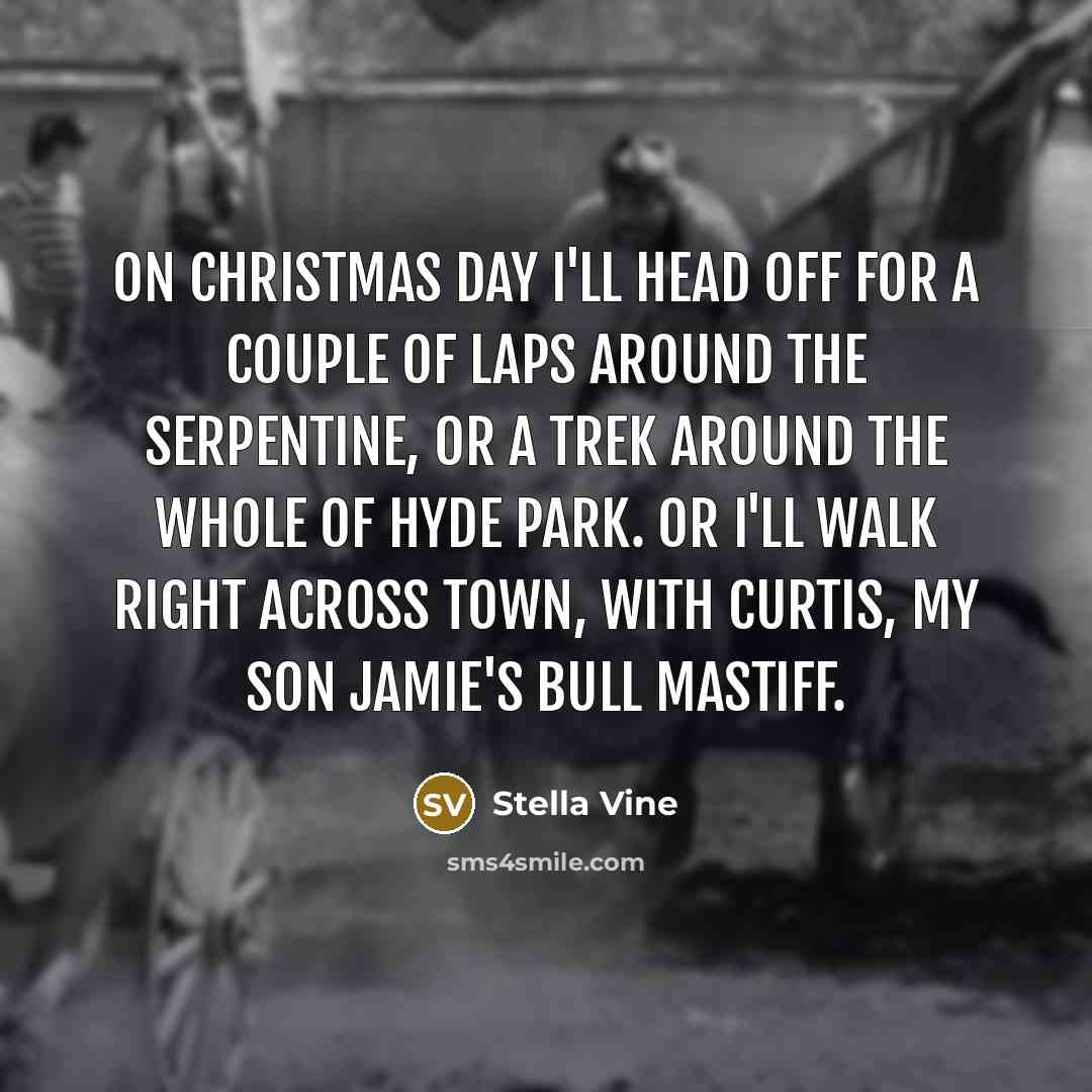 “On Christmas Day I'll head off for a couple of laps around the Serpentine, or a trek around the whole of Hyde Park. Or I'll walk right across town, with Curtis, my son Jamie's bull mastiff.” quote by Stella Vine