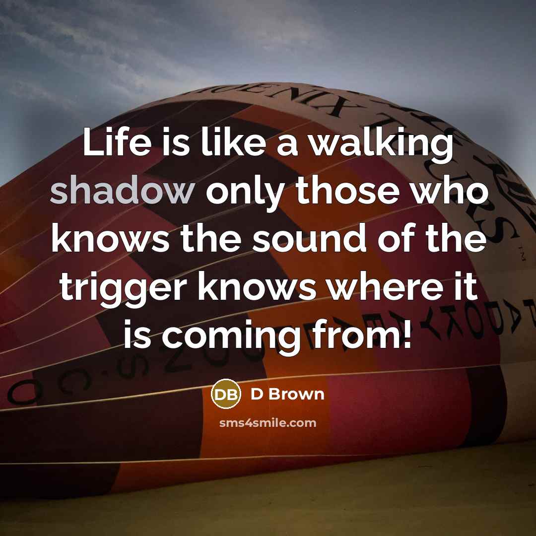 “Life is like a walking shadow only those who knows the sound of the trigger knows where it is coming from!” quote by D Brown
