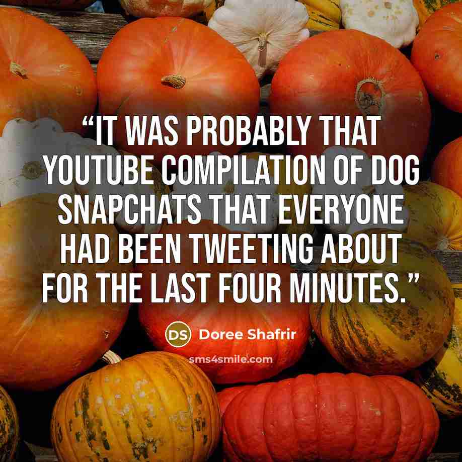 “It was probably that YouTube compilation of dog Snapchats that everyone had been tweeting about for the last four minutes.” quote by Doree Shafrir